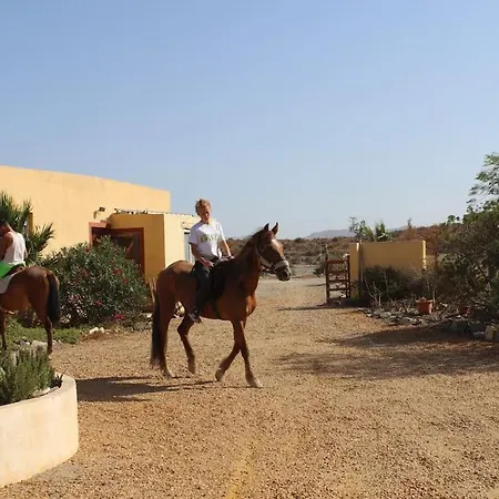 Desert Escapes